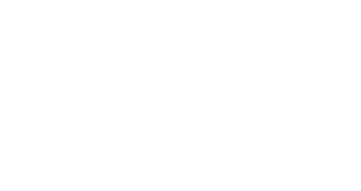 synovis Netzwerke GmbH